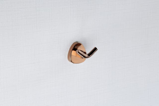 32500 Robe Hook bathroom